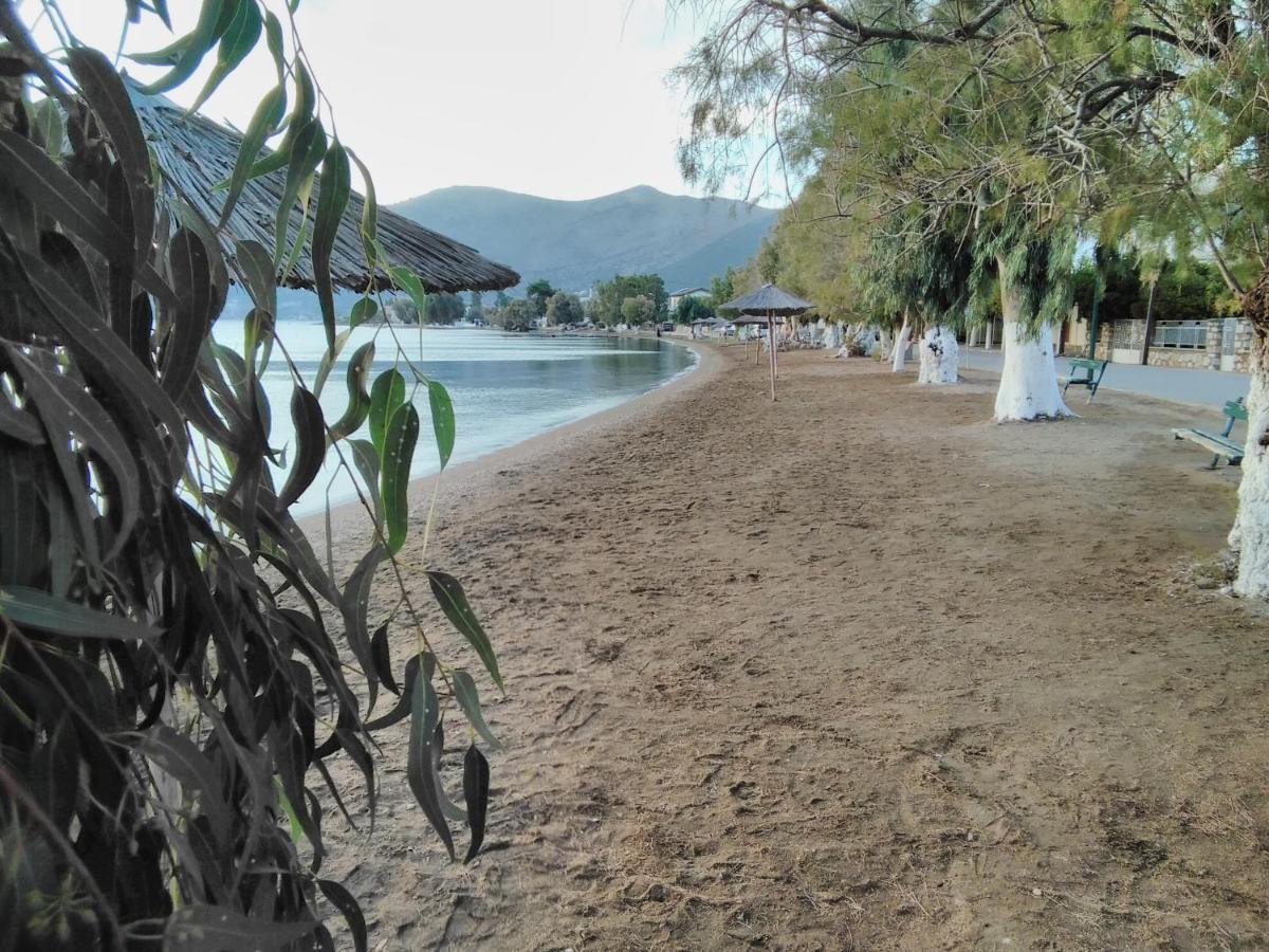 Meli-Ios Guest House อัลมิโรโปตามอส ภายนอก รูปภาพ